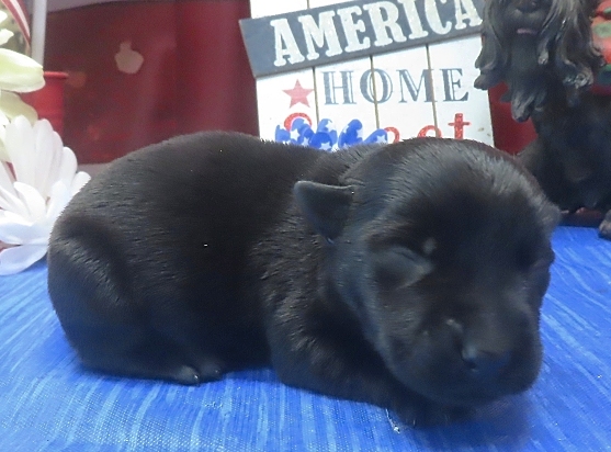 isabella 1wk 5
