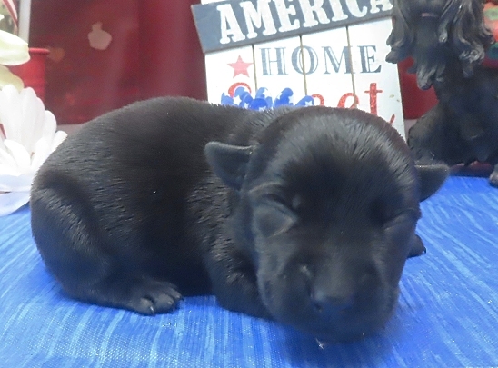 isabella 1wk 6
