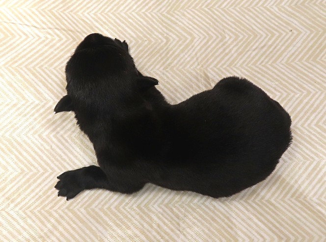 wally 1wk 3