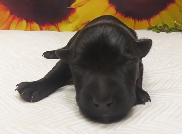 wanda 1wk 1