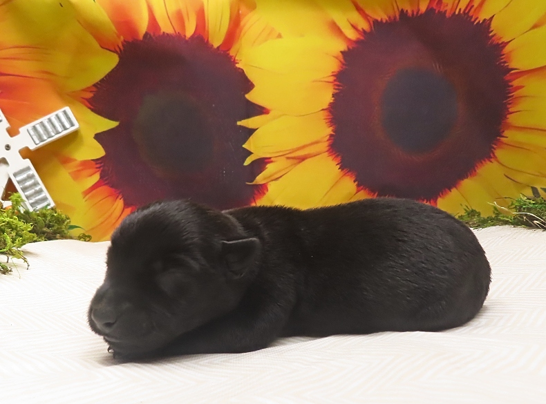 wanda 1wk 2
