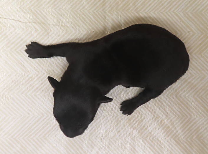 wanda 1wk 4