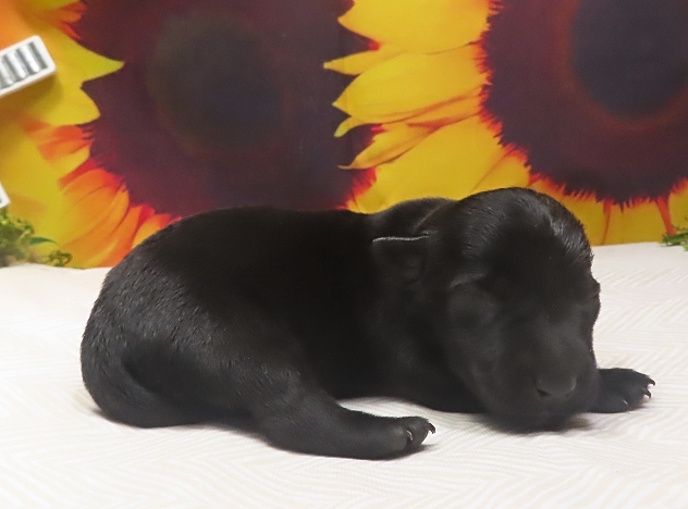 wanda 1wk 5