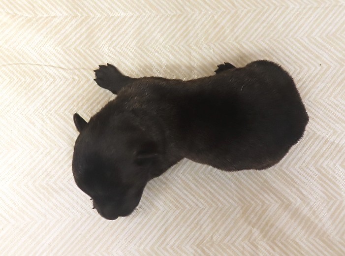 whitney 1wk 2