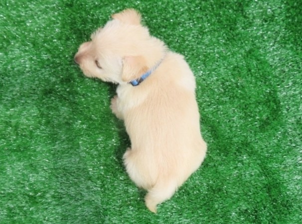 Darko 6wk 5