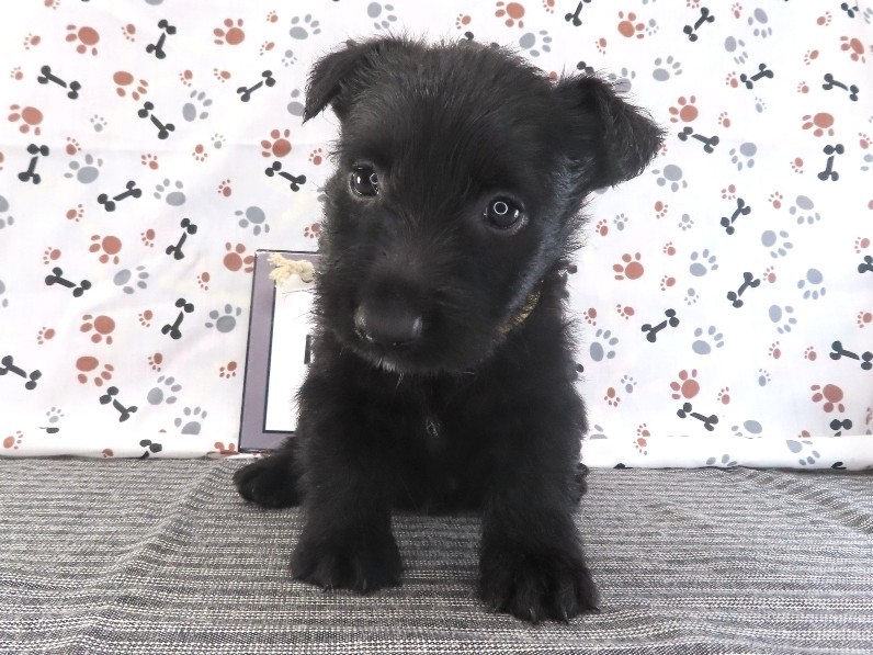 Fiona 5wk 1