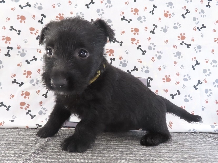 Fiona 5wk 2