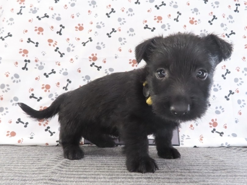 Fiona 5wk 3