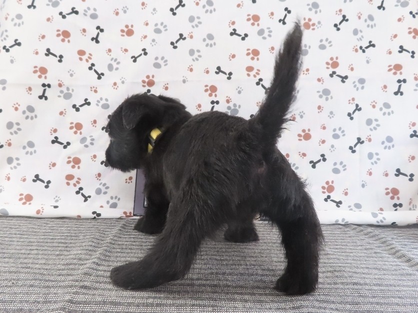 Fiona 5wk 4
