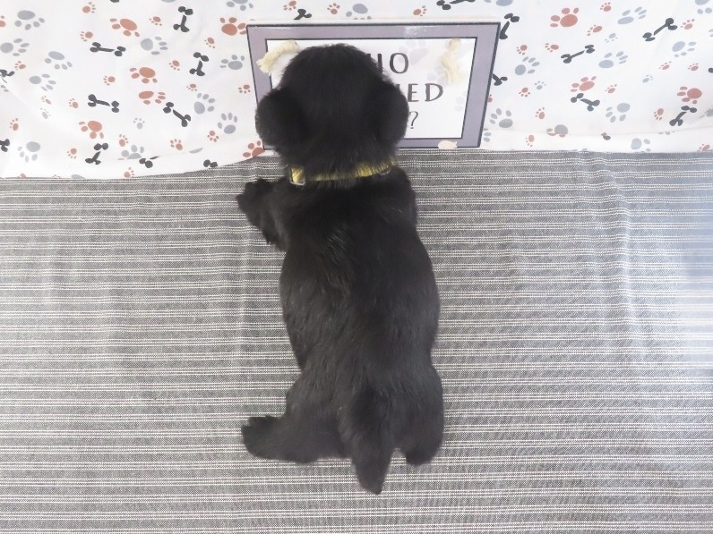 Fiona 5wk 5