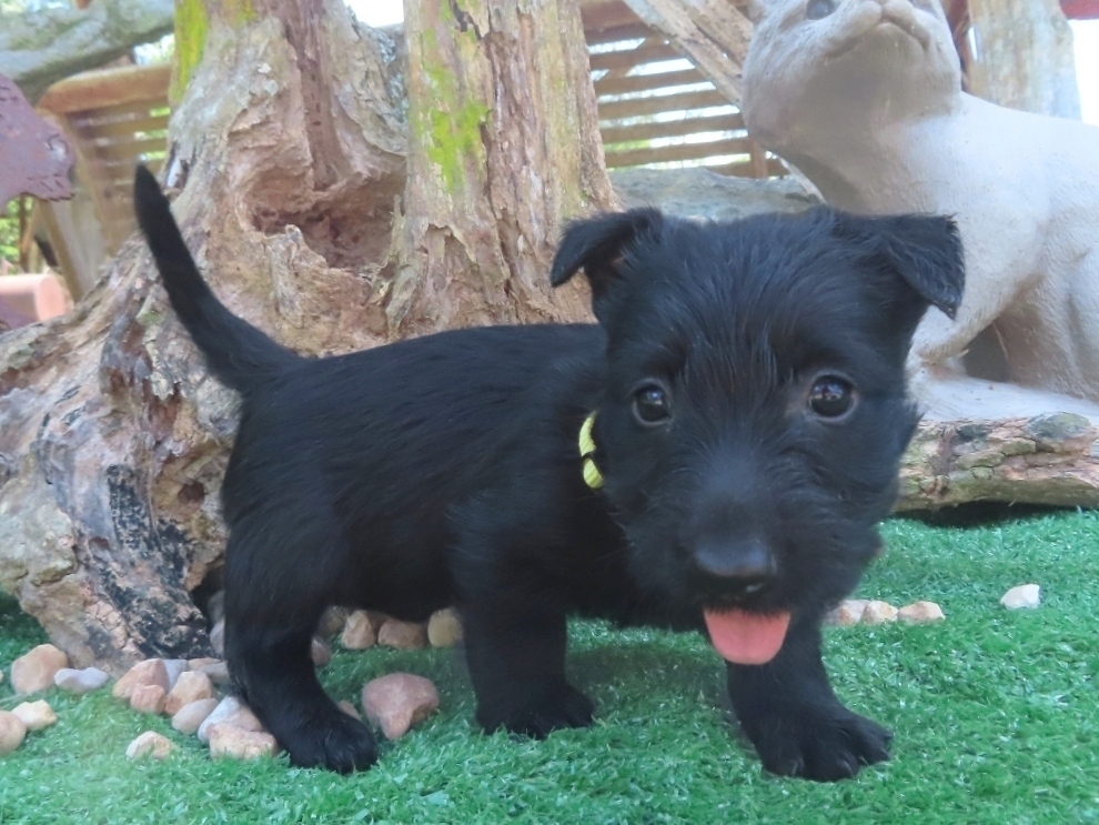 Fiona 6wk 3