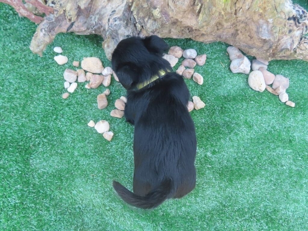 Fiona 6wk 5