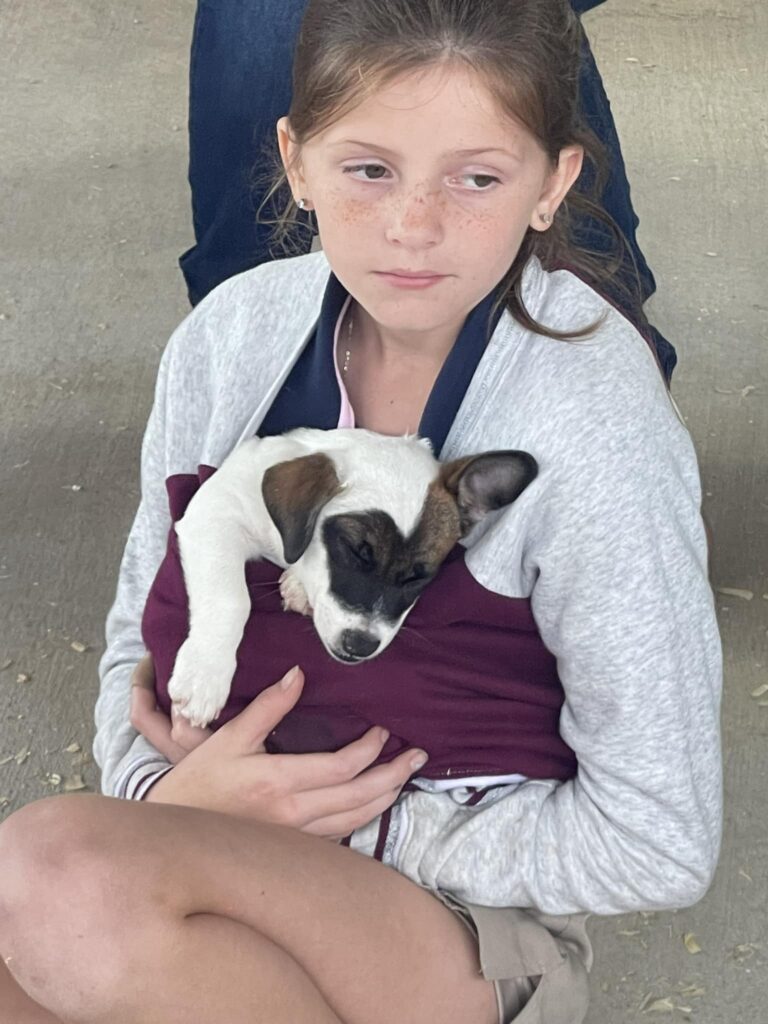 488897509 9607875825965514 5600171125395804471 n