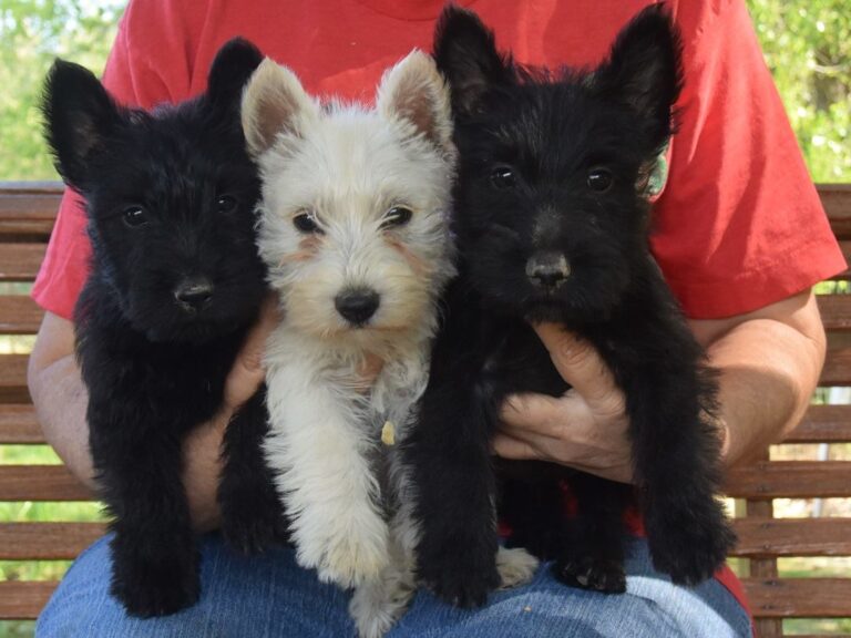 504681274 3166756263475800 8986703810678334101 n