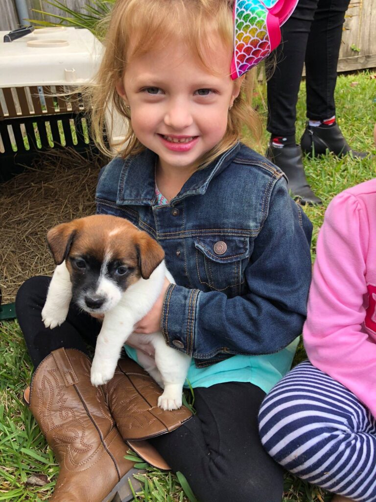 52598898 1224621154355997 8958003715785097216 n