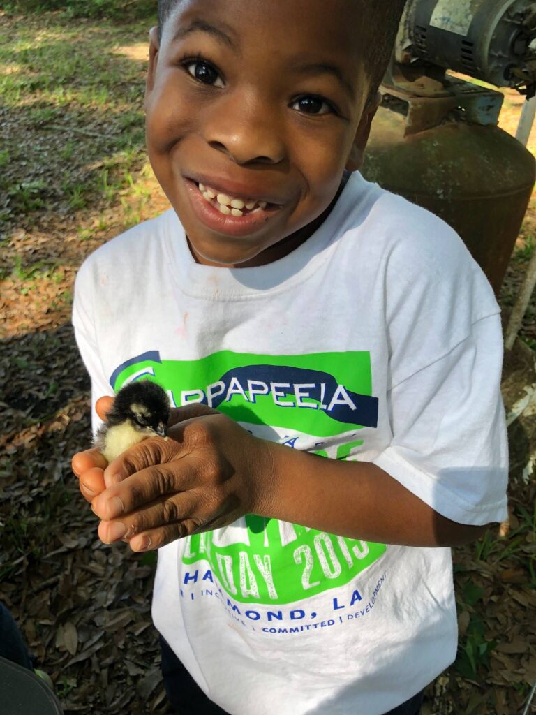 57284563 1256341107850668 6737528717792247808 n