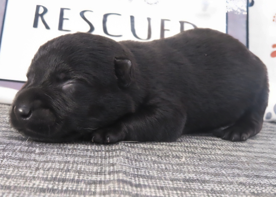 Mandie 1wk 2