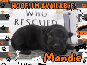 Mandie 1wk FT