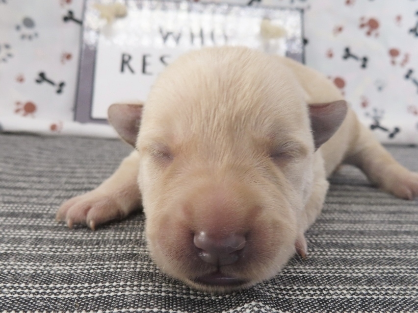 Melody 1wk 1
