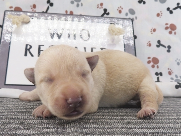 Melody 1wk 2