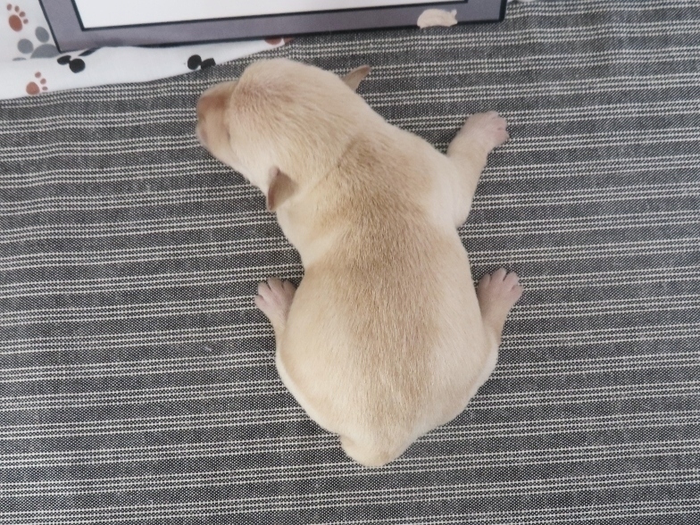 Melody 1wk 5