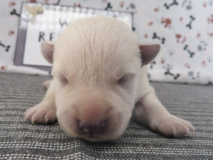 Meredith 1wk 1