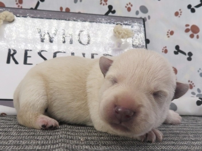 Meredith 1wk 3