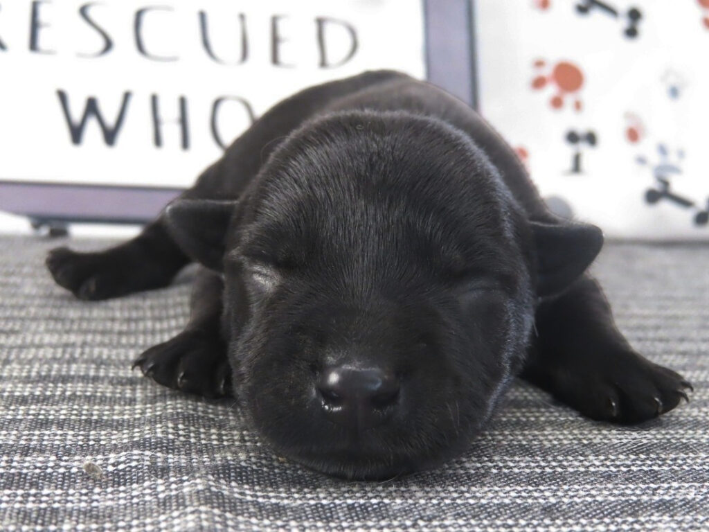 Mimi 1wk 1