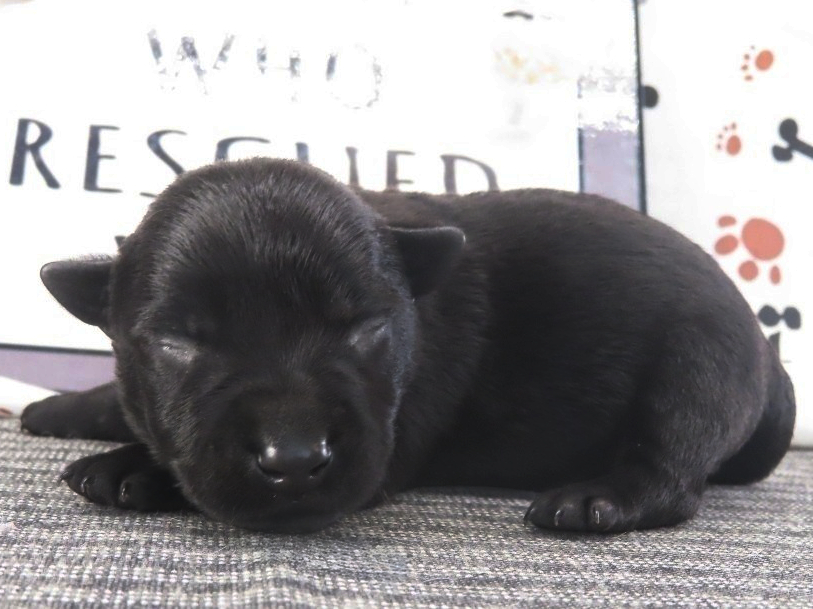 Mimi 1wk 2