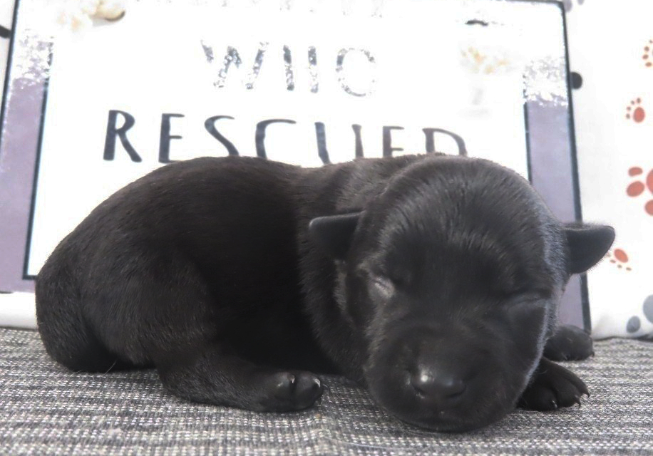 Mimi 1wk 3