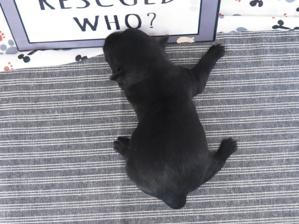 Mimi 1wk 5