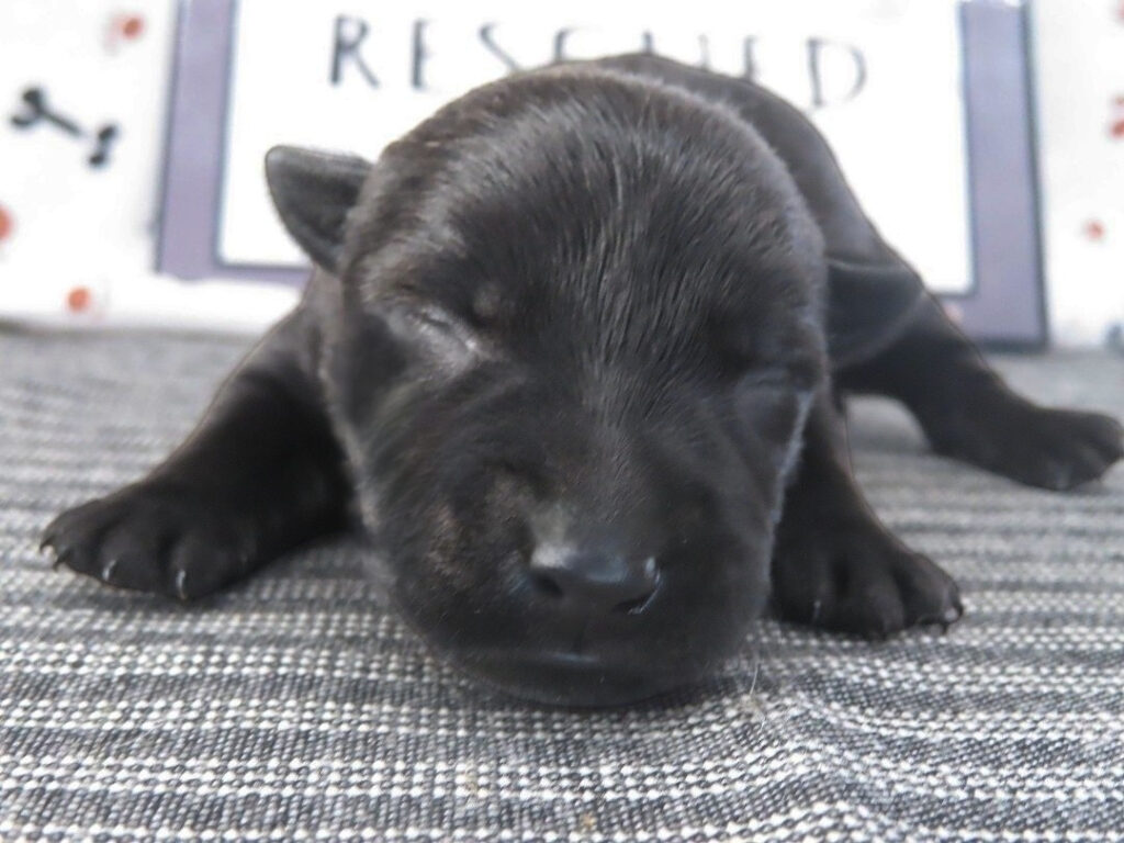Misty 1wk 1