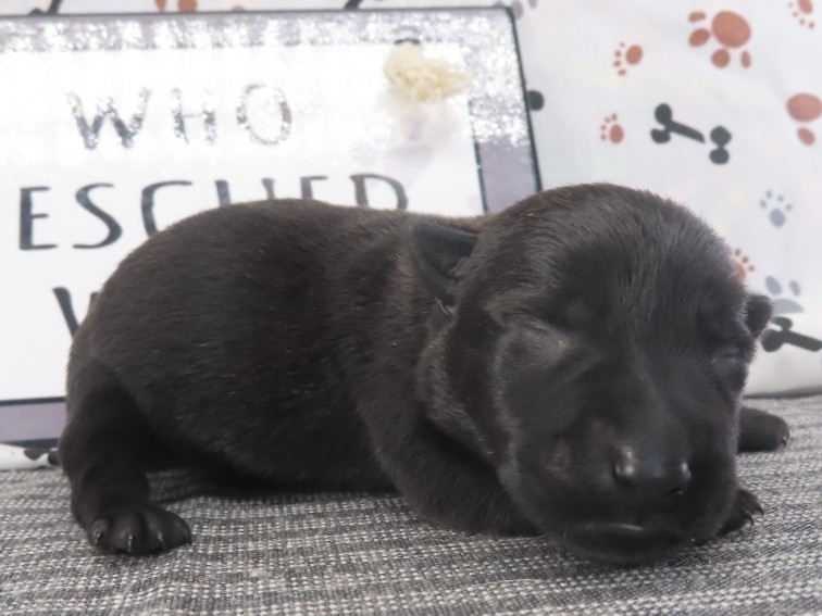Misty 1wk 3
