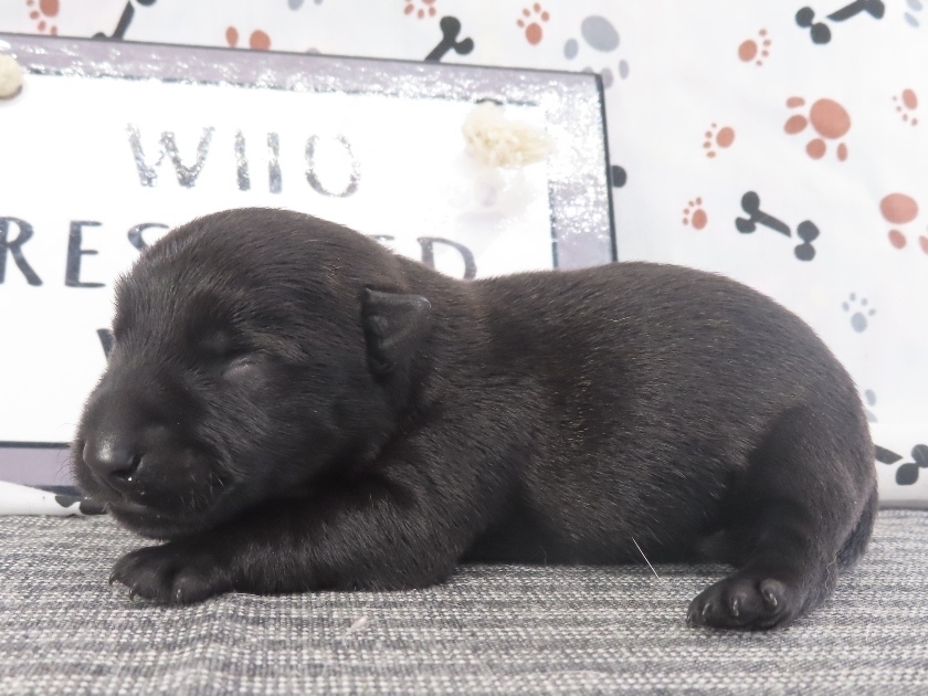 Misty 1wk 4