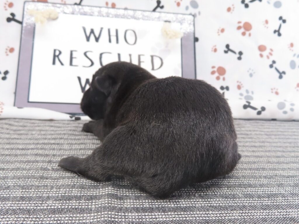 Misty 1wk 5