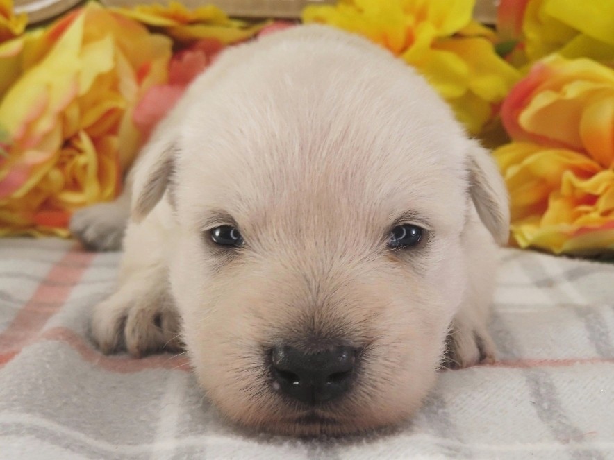 Meredith 3wk 1