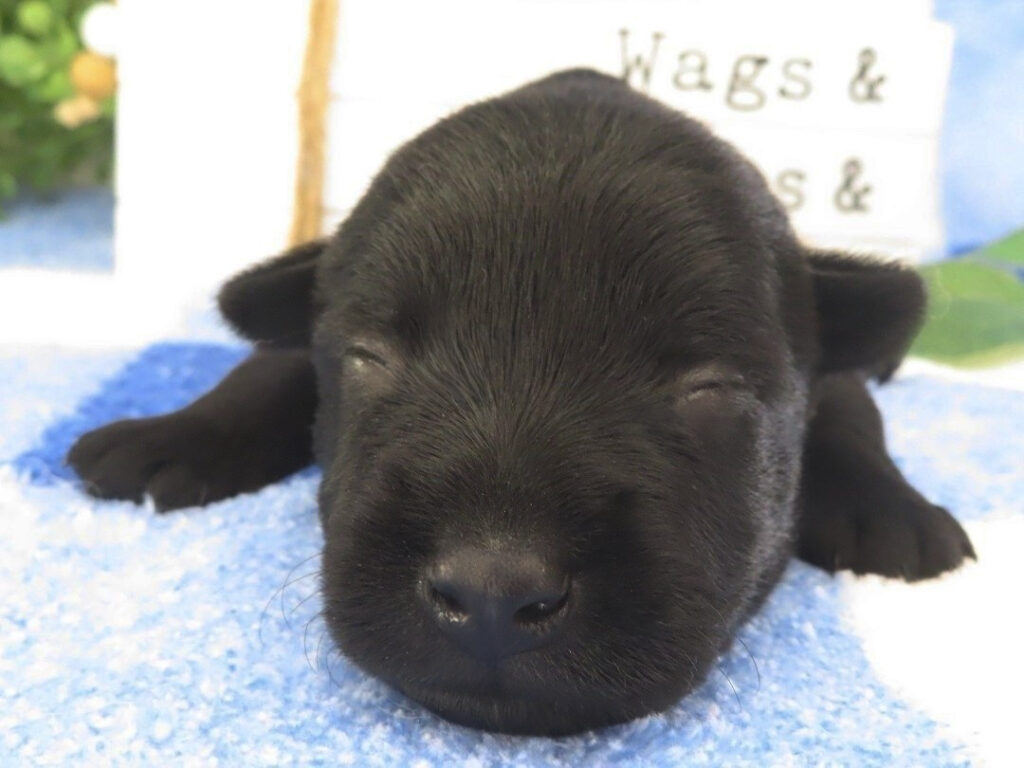 Mimi 2wk 1