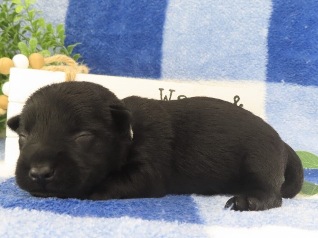 Mimi 2wk 2