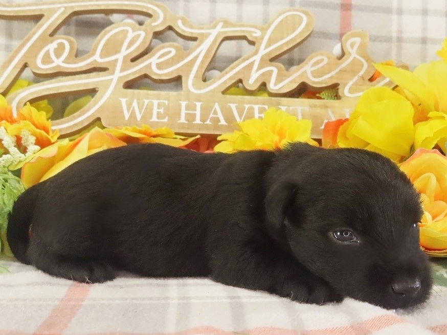 Mimi 3wk 3