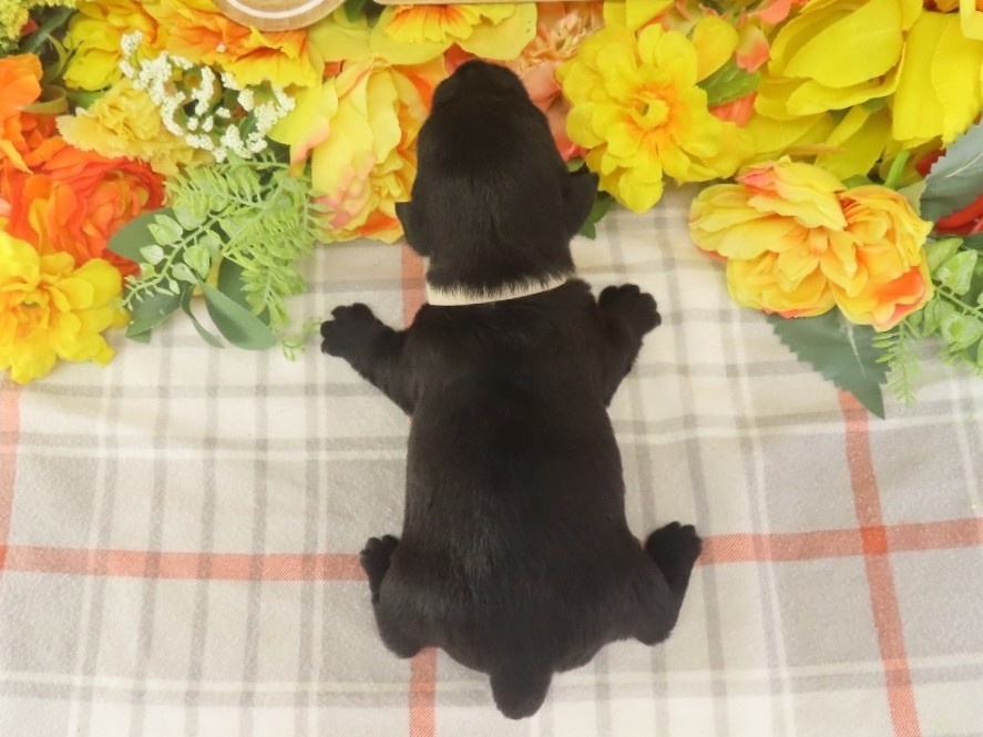 Mimi 3wk 5