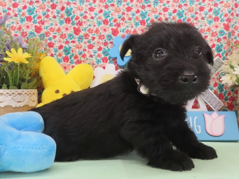 Mimi 5wk 3