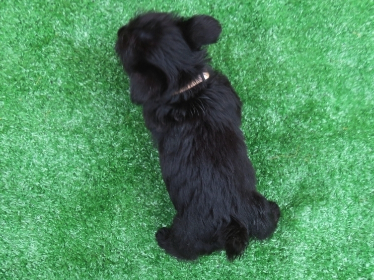 Mimi 6wk 5