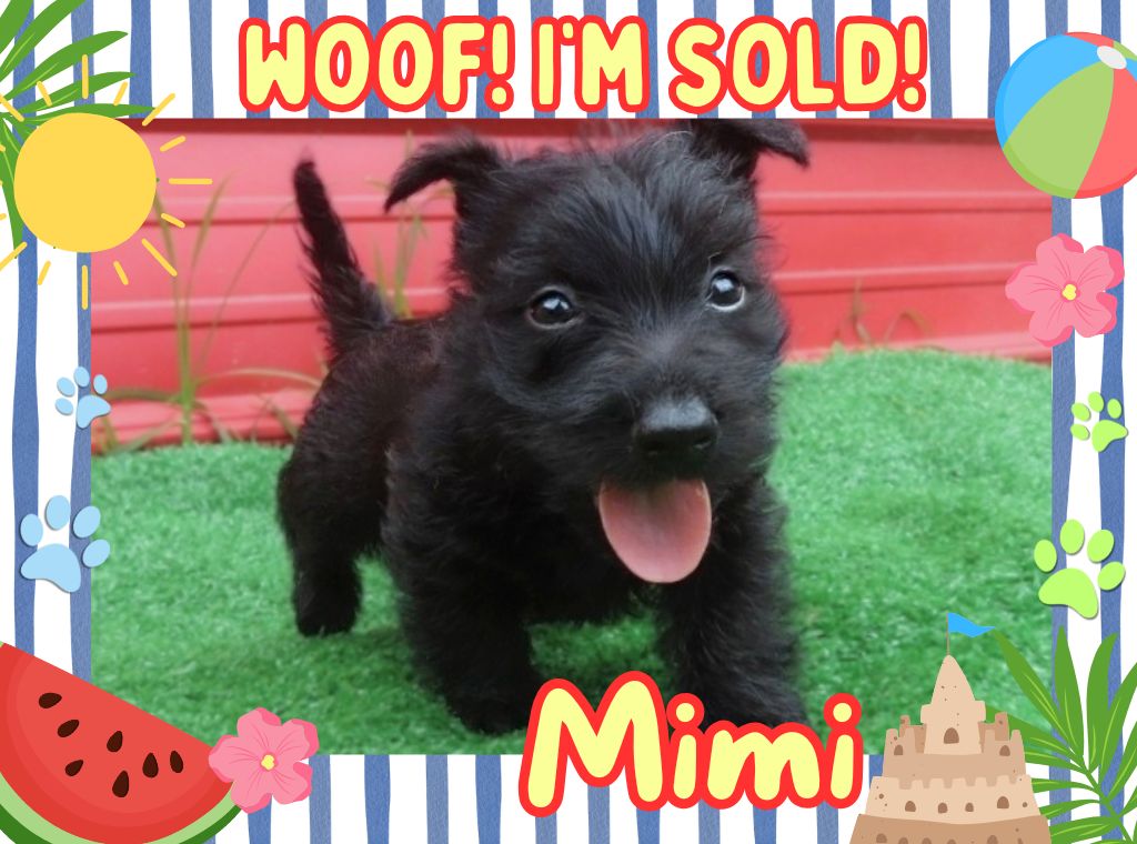 Mimi 6wk FT 3
