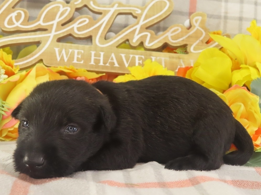 Misty 3wk 2