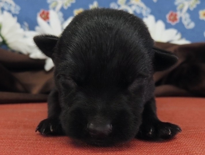 Narissa 1wk 1