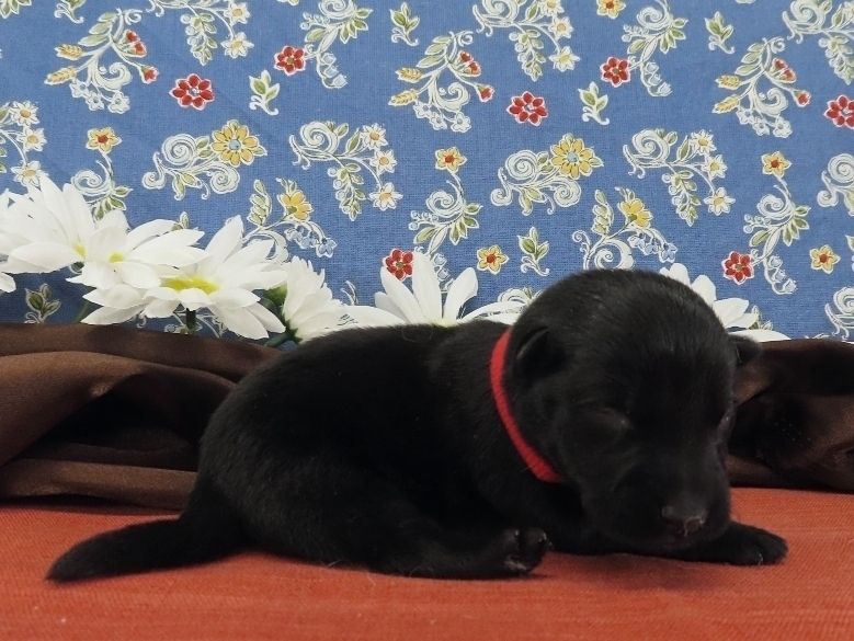 Narissa 1wk 3