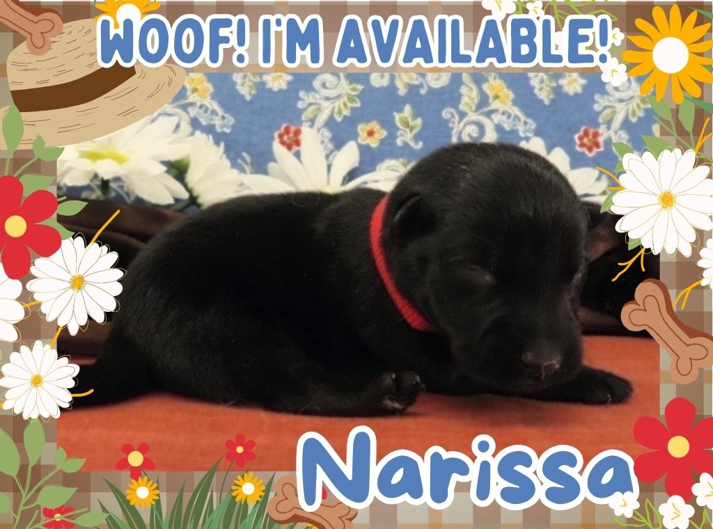 Narissa 1wk FT