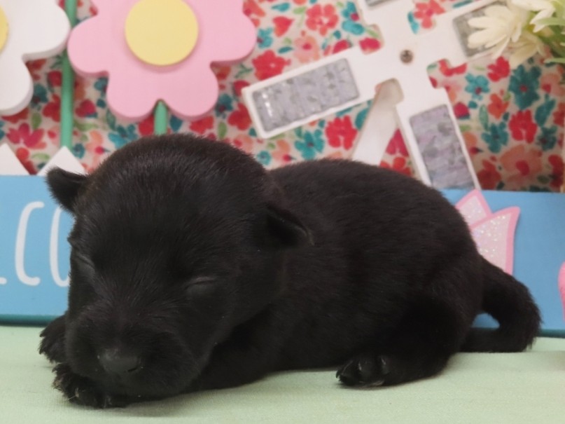 Narissa 2wk 2