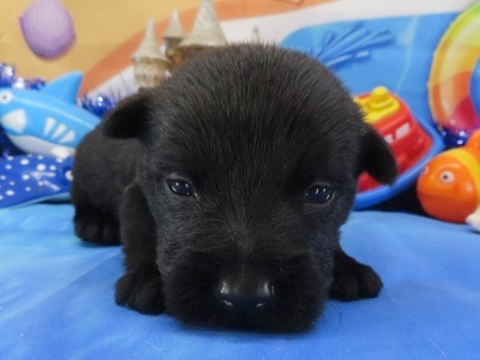 Narissa 3wk 1