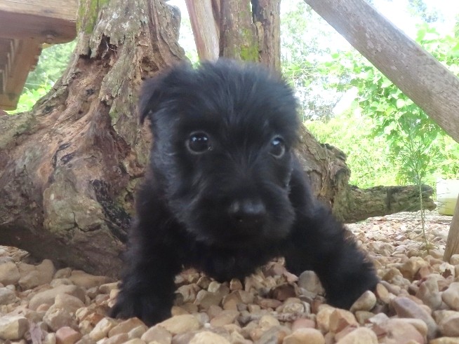 Narissa 6wk 1